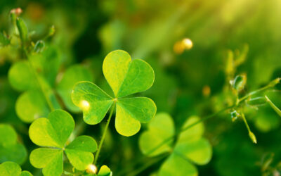 St. Patrick’s Day Party at The Villas