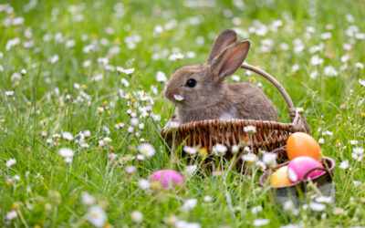 Easter Celebration at San Marino