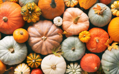 Harvest Festival in The Villas